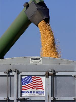 Farmer Gary Niemeyer, not pictured, unloads harvested corn grain from the auger on his farm near Auburn, Ill., Friday, Sept. 26, 2008. Niemeyer, who grows corn and soybeans, said U.S. farmers are in a better position to insulate themselves from a credit crisis than they would have been a generation ago, mainly because they've learned to keep their debt levels in check. (AP Photo/Seth Perlman) 