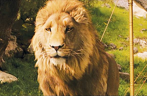 Spaid encourages people to view Jesus as C.S. Lewis described Aslan in The Chronicles of Narnia. Photo Courtesy: Wikimedia Commons