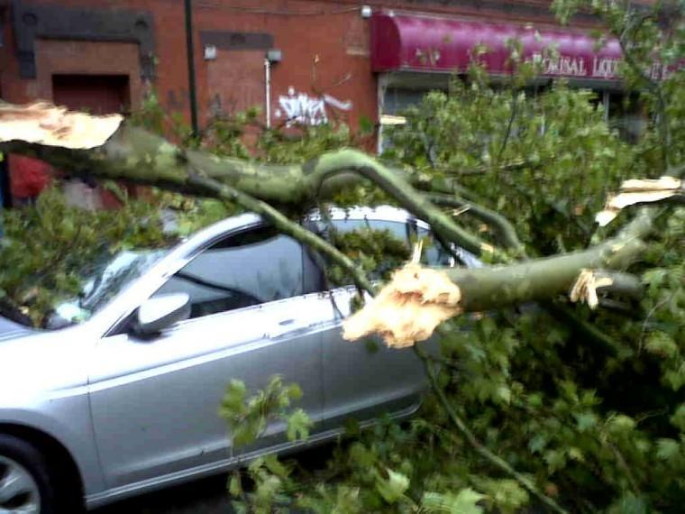 Car+remains+trapped+under+a+tree+after+a+strong+storm%2C+possibly+a+tornado%2C+on+Fourth+Avenue+and+Ninth+Street+in+Brooklyn.