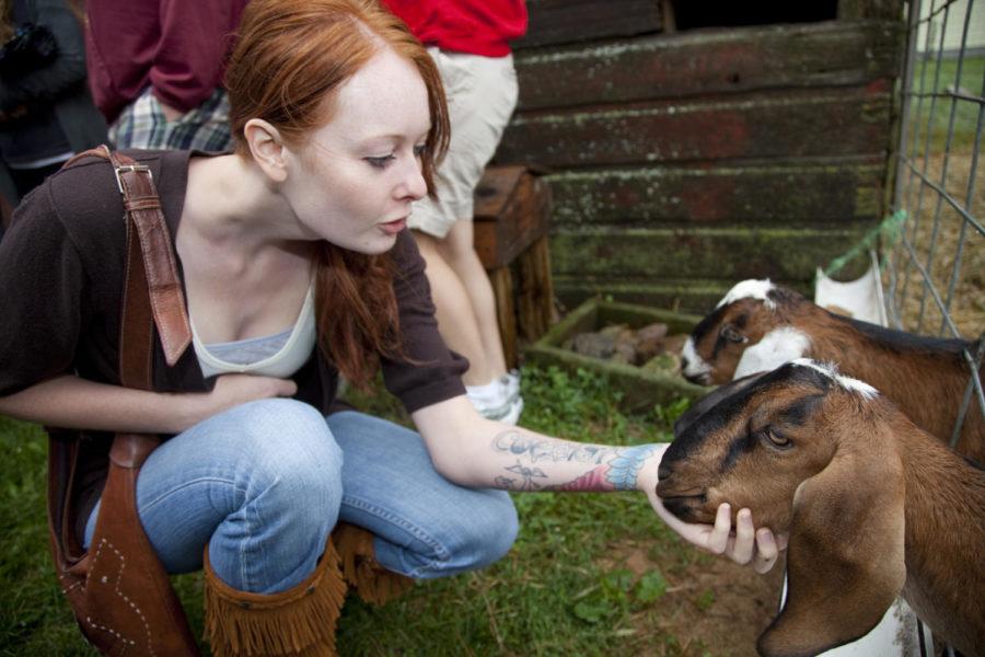Ashley Schmuecker, senior in religious studies and womens studies, pets a goat on a field trip September 19, 2010.