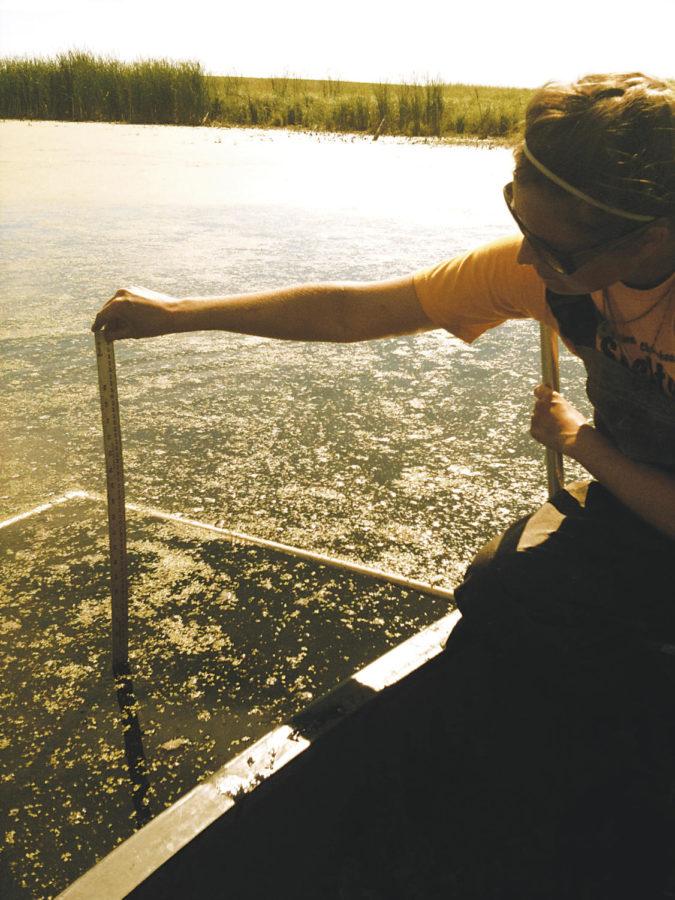 Kristine Maurer samples aquatic vegetation to identify the species and their percent cover. 