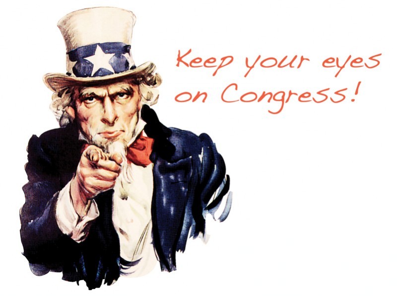 Opinion - Keep Your Eyes on Congress