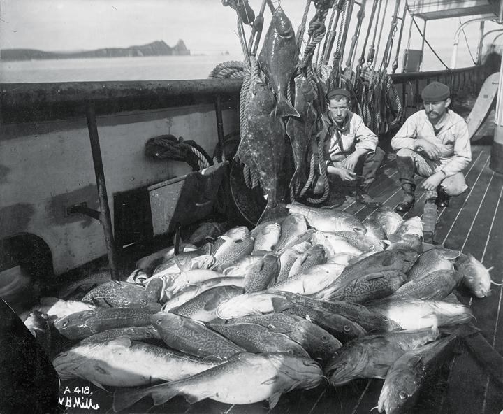 Halibut+and+cod+fishing+in+Alaska+pre-1927.+Courtesy+photo%3A+Library+of+Congress
