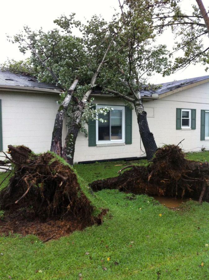 Two trees are uprooted in Selma, N.C. as Hurricane Irene moved
through the state. Eric Rodriguez says the storm is, really
terrible, way more damage, couldnt take pictures, lights are
falling down.
