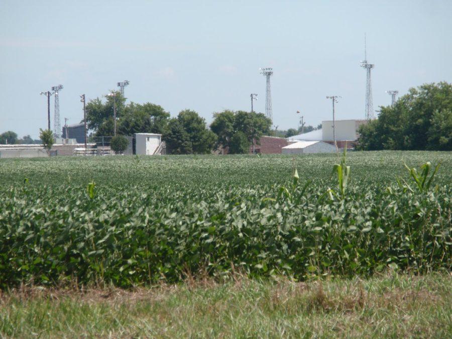 The Mediapolis School District sits in the middle of Iowa corn
fields.
