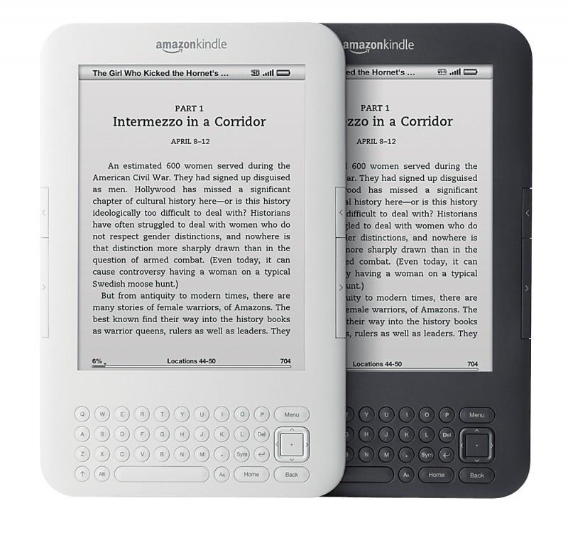The e-book market is mainly dominated by two devices, the Amazon Kindle and the Barnes & Noble Nook. 