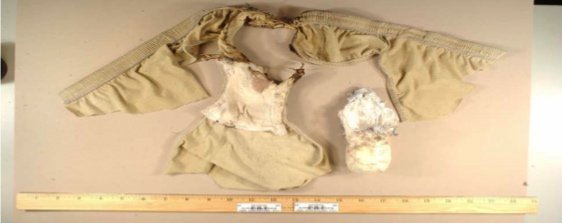 The FBI obtained pictures from law enforcement sources of the
underwear bomb Abdulmutallab allegedly used to try to blow up the
Detroit bound flight on Christmas.
