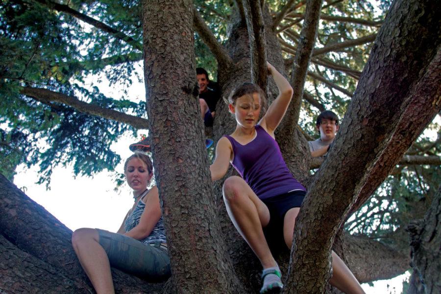 Greg Zwiers, freshman in aerospace engineering, and Dan
Patterson, sophomore in psychology, wait their turn to descend from
a large tree on campus, as Hannah Morey, freshman in kinesiology
and health, and Sarah Delhotal, freshman in dairy science, plan
their route down the tree. The four friends were taking advantage
of the warm autumn weather Tuesday, Oct. 4.
