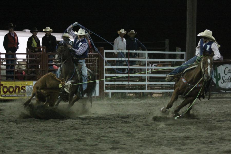 Bobbi Wardell and Lane Schroeder of Iowa Central Community
College attempt to rope a cow in the team-roping competition on
Saturday, Oct. 1, during the 49th annual Cyclone Stampede
Rodeo.
