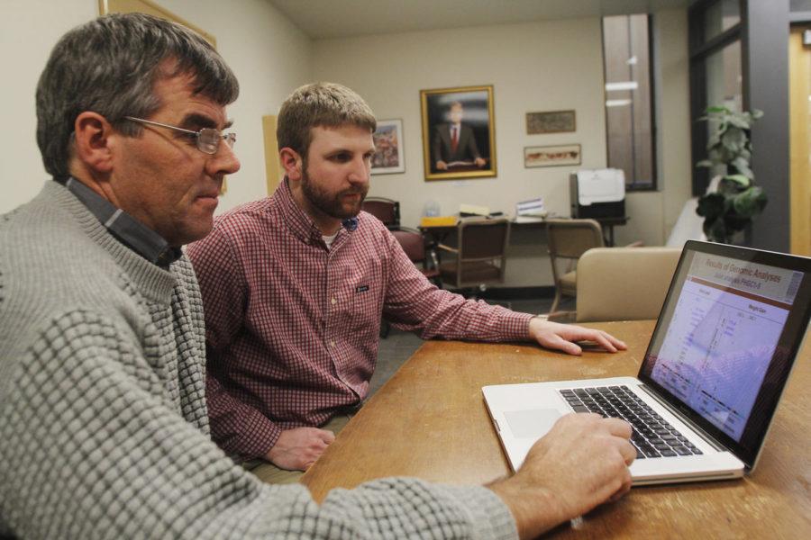 Jack Dekkers, professor of animal science, looks up statistical data about genomes in pigs with his research assistant, Nick Boddicker, graduate student in animal science, Jan. 22 at Kildee Hall.

