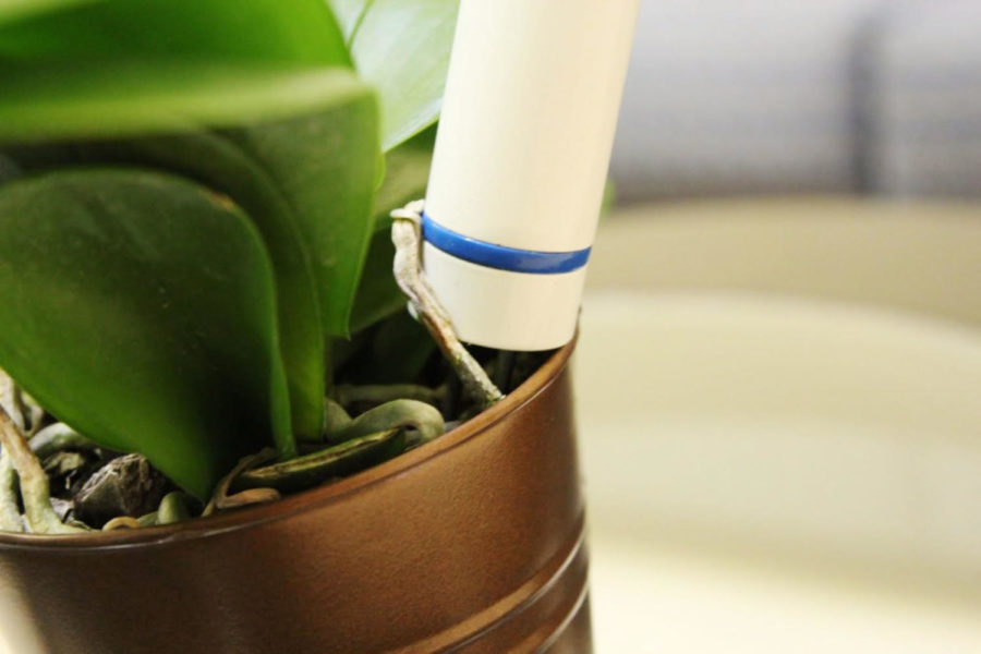 “Plant Link” is in the process of gathering funding. The project is developing low-cost links, which would be placed by plants to communicate to owners when the plants are thirsty.
