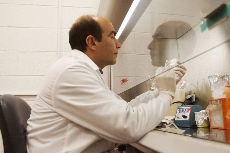 Dr. Orhan Sahin studies a petri dish on Friday, Feb. 1, at the Veterinary Diagnostic Laboratory.

