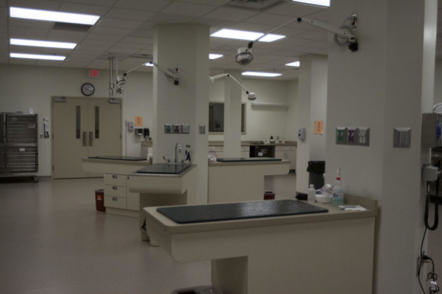 The diagnostics room was one of the many major upgrades that the Small Animal Hospital received as a result of the remodel.
