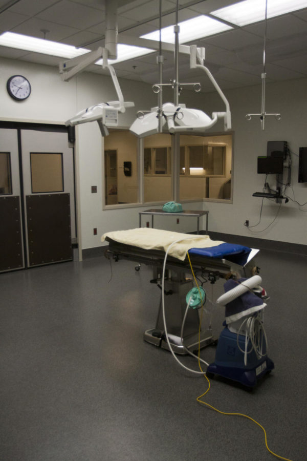 The new surgery room at the Small Animal Hospital has a host of new features that the old one didnt, such as adjustable colored lighting and filtered ventilation, making it the cleanest room in the building.