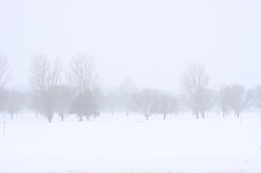 The Veenker Memorial Golf course is seen covered in a snowy haze on Feb. 26 during Winter Storm Rocky.
