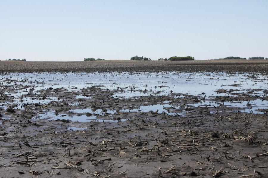 Many farms saw flooding in the fields with the excessive rainfall this early spring. With high rainfalls, many farmers are being prevented from doing their jobs.
