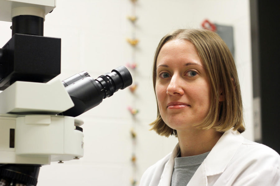 ISU alumna Erin Kalkwarf studies photomicrographs of PEDv Positive stained cells under a flourescent microscope as part of her job at Iowa State Vet Med. Kalkwarf is a research associate 2.