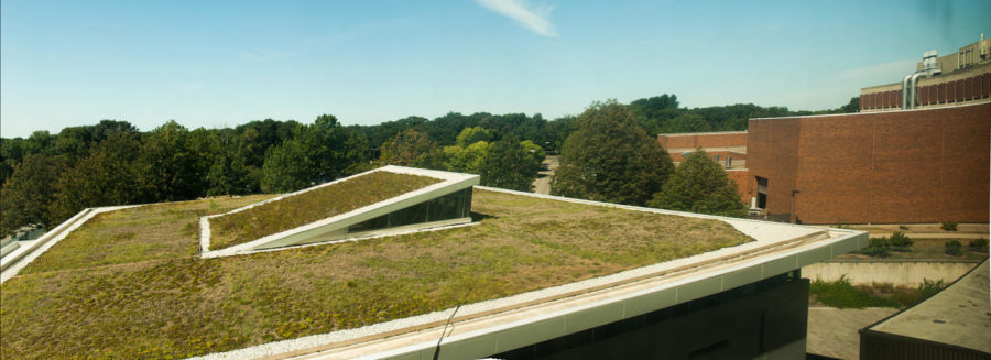 The first green roof on campus is on the top of the King Pavilion wing of the College of Design. With the completion of the Agricultural Biosystems Engineering building, Iowa State will have nearly 50,000 square feet of green roof, said Kerry Dixon, of Facilities Planning and Management.