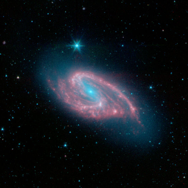 Spiral galaxy NGC 3627. Spiral galaxies are the most common type of disc galaxies