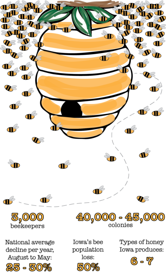 Bee population