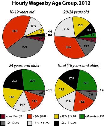 Numbers shown in pie charts above display the percentage of the age group earning that amount of money.