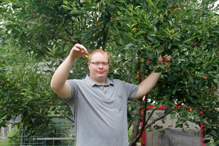 Adam Bossard proudly shows off a cherry he picked from his cherry tree in his garden in Ames on June 23.
