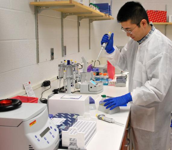 Graduate assistant Wentong Cai works in a lab at Iowa State in September 2013. Wentong has been arrested after attempting to smuggle military technology to China.