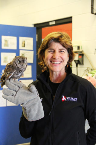 Dr. Bianca Zaffarano, director of Iowa States Wildlife Care Clinic, poses with one of her screech owls. Zaffarano has been working with wildlife for 20 years and has been with Iowa State’s clinic for about six years.