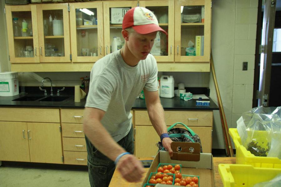 Mark Rippke pulls out vegetables as a customer waits to pick up their order. Fresh, local produce is picked up by students and staff in Horticulture Hall after being preordered. The food is picked up on Fridays and is delivered from and grown at the Horticulture Research Station. The produce delivery is a part of the Horticulture 465 class.