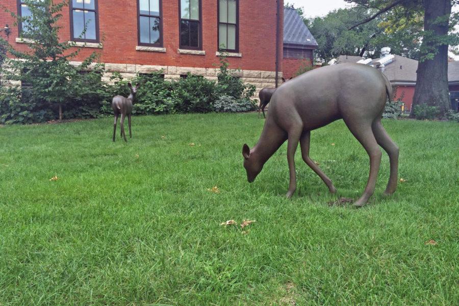 Deer sculptures outside Morrill Hall.