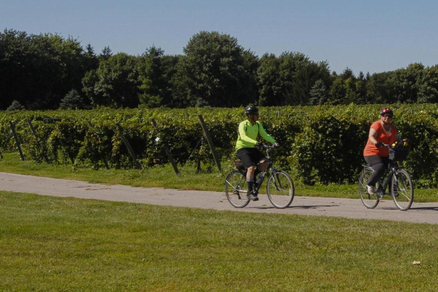 Participants+approach+Prairie+Bloom+Farm+during+the+Local+Food+Cycle+on+Sept.+7.%C2%A0The+40-mile+bike+ride+was+sponsored+by+the+Story+County+Conservation+and+Prairie+Rivers+of+Iowa.+The+ride+stopped+at+seven+different+local+food+farms+and+was+designed+to+celebrate+local+sustainable+food+systems.