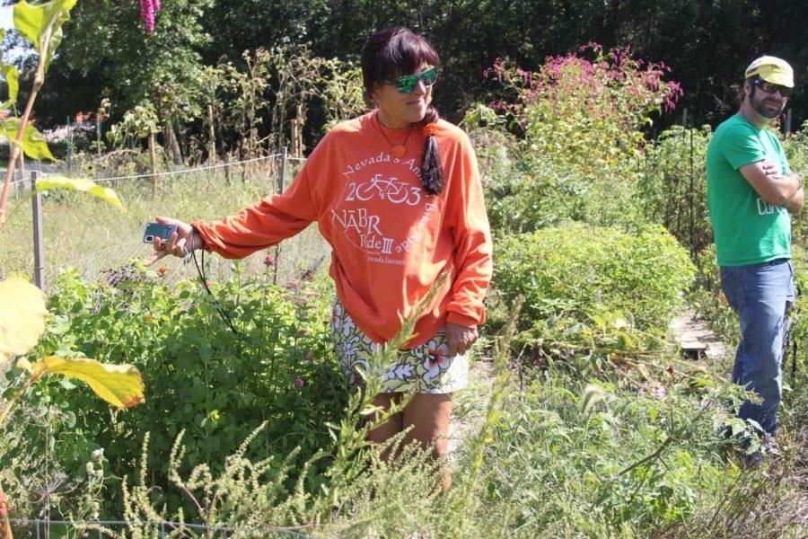 A community member walks through John Cookie Andersons gardening plot in the Squaw Creek Community Garden located at the corner of South Maple Avenue and Fourth Street in Ames.