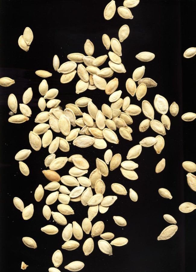 Merely a blank canvas, the beauty of pumpkin seeds can be expressed through many different foods.