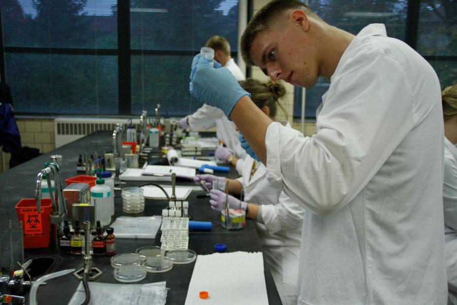 Freshman in food science Eric Hollenback inspects soil samples to isolate colonies from the soil to test if they are antimicrobial for their microbiology 302L class. The class is working with the Small World Initiative to find solutions for antibacterial resistance.
