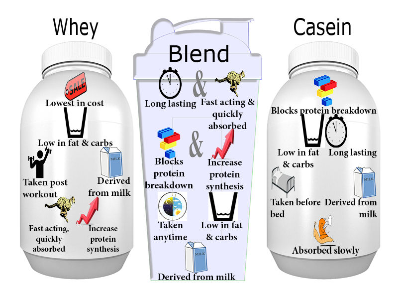 Different types of supplements play unique roles in promoting nutrition and benefiting fitness. Know what each type does, when each should be taken and how each is derived.