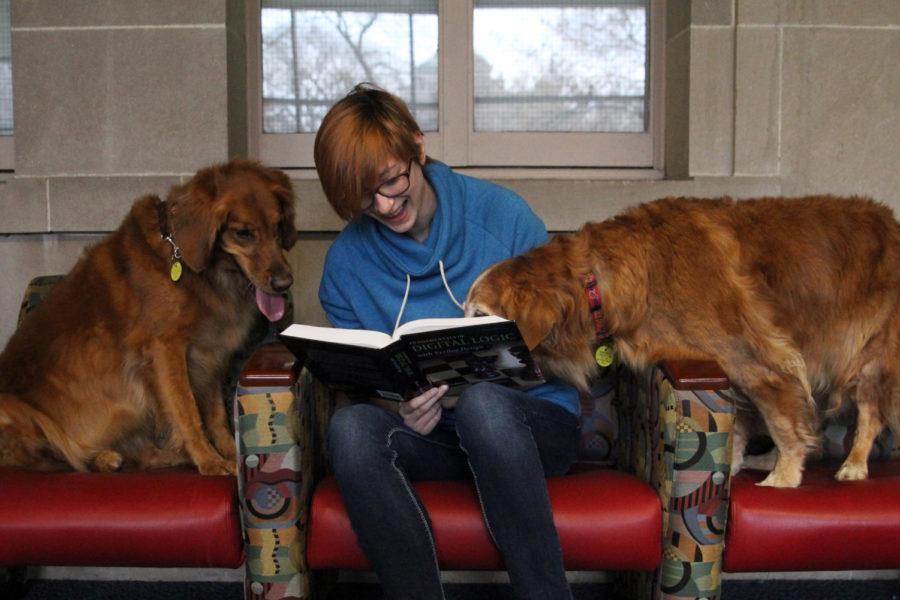 Brooke Wacherbarth studies in the library while Tori and Libby keep her company. Therapy dogs will be present in Parks Library every day during Dead Week from 1 to 5 p.m. in room 192. 