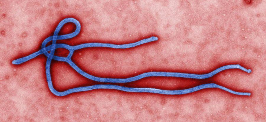 NewLink Genetics, an Ames company housed in the Iowa State Research Park, has recently signed a $50 million deal with Merck & Co., Inc. to expedite the development of NewLinks potential vaccine for the Ebola virus.