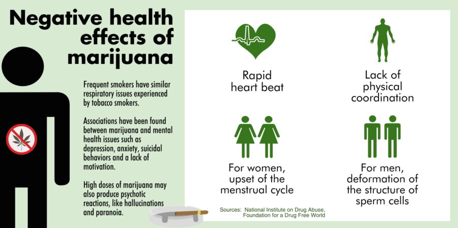 While+marijuana+users+face+similar+health+problems+as+tobacco+users%2C+research+has+found+significant+negative+health+impacts+in+using+high+doses+of+marijuana.+Aside+from+mental+health+complications%2C+other+serious+physical+complications+in+the+long+term+include+possible+sterility+in+men+and+interference+with+the+menstrual+cycle+in+women.