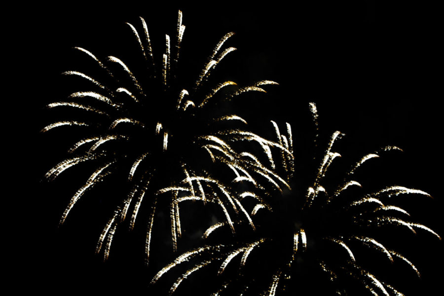 Thousands of people filled Reiman Gardens on July 3, 2014 for the Ames sesquicentennial celebration and Independence Day fireworks.