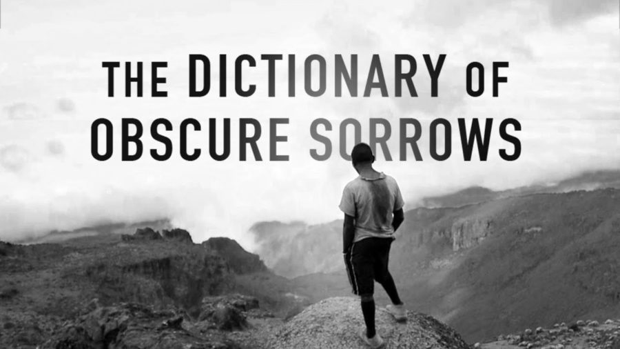 The+Dictionary+of+Obscure+Sorrows