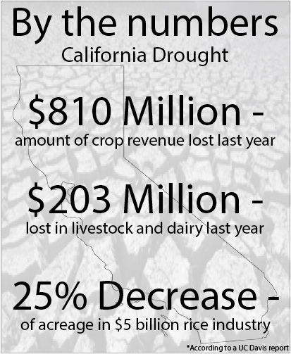 California is currently in a state of emergency after suffering from a severe drought during the past four years. The drought is not expected to affect food prices in Iowa. 