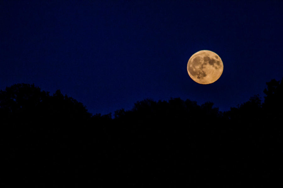 The moon rises over the horizon of the Maple-Willow-Larch fields before an eclipse Sunday night. The next time there will an eclipse of this magnitude will be in 2033.