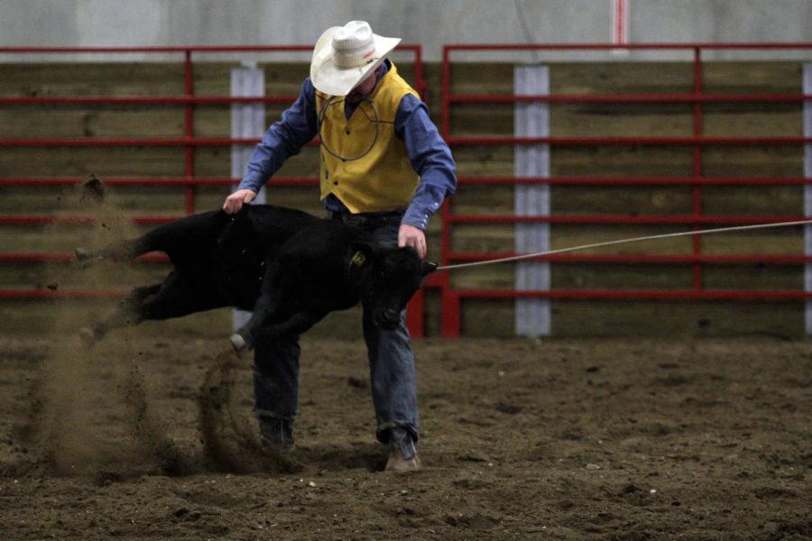 Justin Burgess participates in the tie down roping event at Cyclone Stampede on Oct. 4. The stampede was hosted by the ISU Rodeo Club and rodeo contestants from universities across the Midwest competed. The event was hosted at the newly constructed agriculture learning center. 