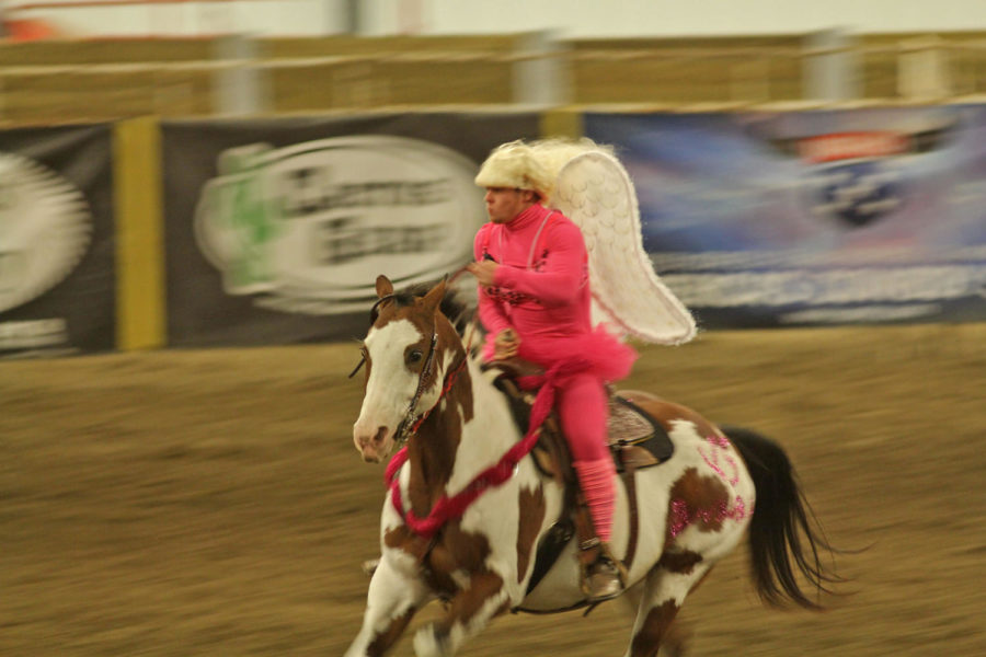 One of the bareback bronco rodeo competitors gives the fans a show by dressing up in a fairy costume and performing a barrel race at the Iowa State Cyclone Stampede Rodeo on October 3 in the Hansen Agricultural Center.