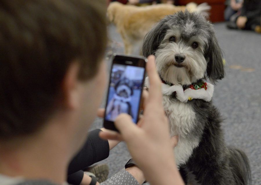 A puppy poses for a student during Barks@Parks. Certified therapy dogs entertain students during Barks@Parks, happening throughout dead week from 1 to 4 p.m. Monday through Friday. The dogs offer a break from studying for students as the semester comes to a close.