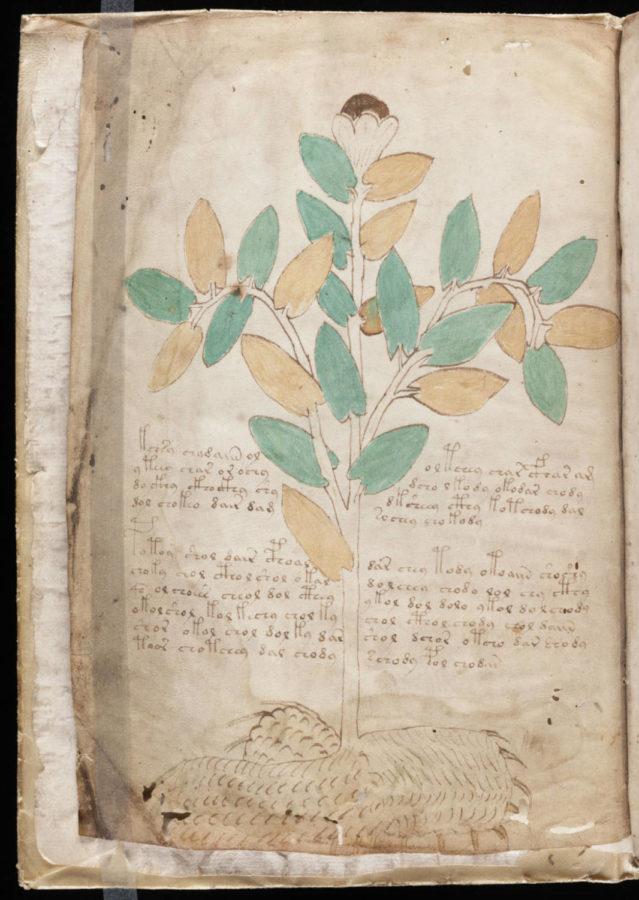 A+page+from+the+Voynich+Manuscript
