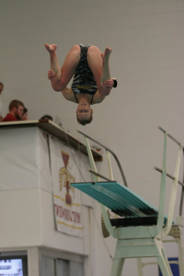 Julie Dickinson, junior, performs an inward 2.5 somersault tuck during the meet against the University of Illinois Fri. night. Dickinson finished first in the 3 meter dive competition. 