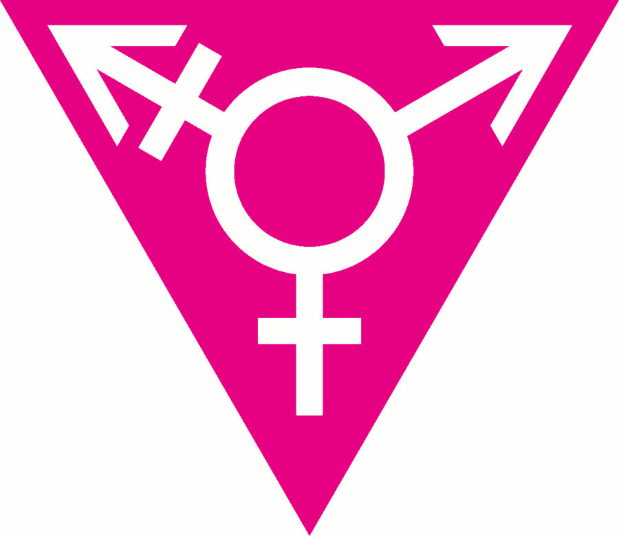 We+as+a+society+need+to+be+more+aware+of+the+transgender+community+to+stop+the+perpetuity+of+hate+and+violence.