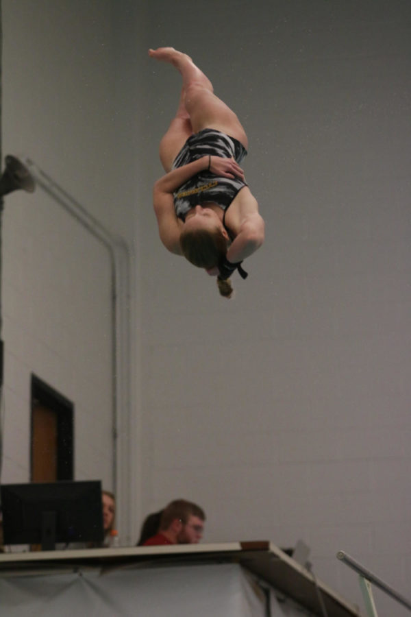 Julie Dickinson, junior, performs a dive during the meet against the University of Illinois Fri. night. Dickinson placed first in the 3 meter dive event.