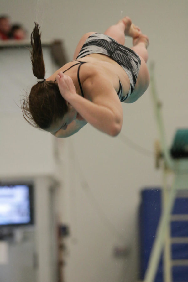 Elyse Brouillette, senior, performs a dive during the meet against the University of Illinois. Brouillette finished first in the one meter dive competition.